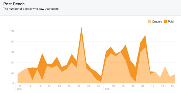 Facebook analytics allows professional photography businesses to track the effectiveness of their Facebook pages
